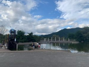 フレンドパークむかわの池