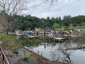 水上アスレチック