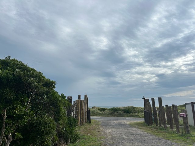 海岸への道